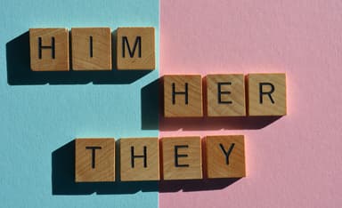 Should English Change Its System of Pronouns?