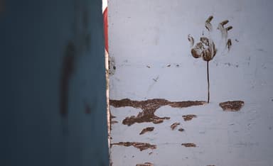 What Invoking Amalek Means Today