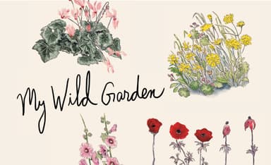 The Perfect Timing—and Perfect Vision—of Meir Shalev’s “My Wild Garden”
