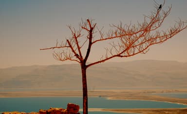 Nothing Like It in 3,000 Years of Jewish Literature