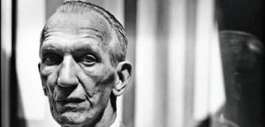 A Tree Grows in Lublin