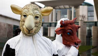 Why Is Europe Repressing Ritual Slaughter?