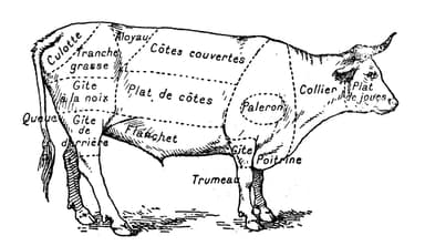 Who’s Afraid of Ritual Slaughter?