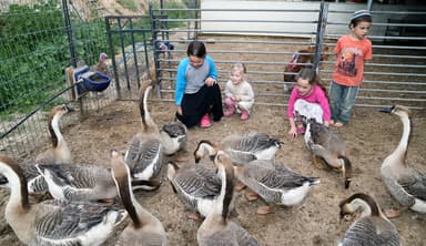 What Others Can Learn from Israel about Having Children