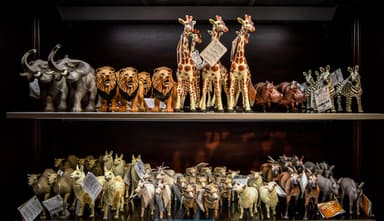 A Museum for the Bible in a Religiously Diverse Land