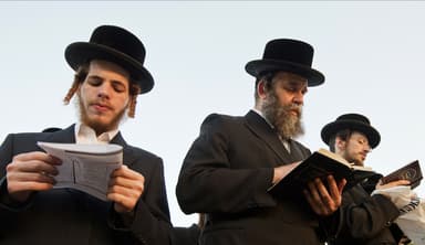 How the Ultra-Orthodox Undermine Themselves