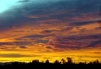 The Voyage of the Dawn Etymologist